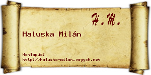 Haluska Milán névjegykártya